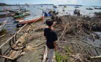 Pencaplokan Lahan, Mangrove di Teluk Sepang Kampung Melayu Kondisinya Rusak Parah