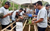 Pembelajaran Teknik Budidaya Sayuran untuk Petani