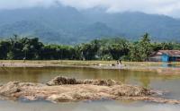 Banjir Luapan Sungai Cintaduy, Ratusan Hektare Lahan Pertanian Terendam