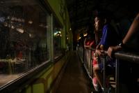 Ragunan Buka Wisata Malam, Warga Jakarta Antusias Menyambut