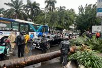 Pengendara Mobil Lexus Meninggal Tertimpa Pohon Tumbang di Pondok Indah
