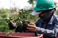 Transformasi Konflik Agraria Menjadi Ekowisata Berkelanjutan