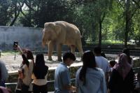 Suasana Libur Natal di Taman Margasatwa Ragunan