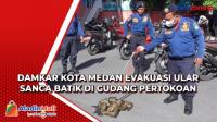 Damkar Kota Medan Evakuasi Ular Sanca Batik di Gudang Pertokoan