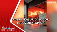 Korsleting Listrik Pabrik Kasur di Bogor Ludes Dilalap Api, Karyawan Panik Selamatkan Diri