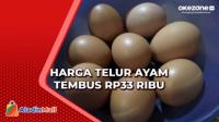 Harga Telur Ayam Tembus Rp33 Ribu di Tuban, Produsen Kemplang Terancam Rugi