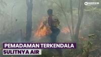 Api Mengamuk Lalap Lahan Seluas 3 Hektare di Katingan Hilir