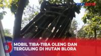 Mobil Tiba-Tiba Oleng dan Terguling di Hutan Jati Blora, Begini Cerita Sopir