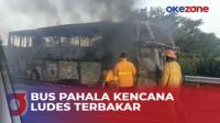 Bus Pahala Kencana Terbakar Hebat di Tol Jombang-Mojokeroto, Begini Nasib Penumpangnya 
