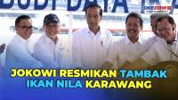 Presiden Jokowi Resmikan Tambak Ikan Nila Salin di Karawang, Bidik Potensi Dunia Rp230 T