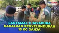 Lantamal X Jayapura Gagalkan Penyelundupan 13 Kg Ganja Asal Papua Nugini
