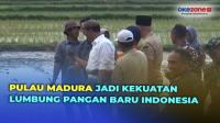 Mentan Targetkan Pulau Madura jadi Kekuatan Lumbung Pangan Baru Indonesia