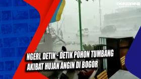Ngeri, Detik-Detik Pohon Tumbang Akibat Hujan Angin di Bogor