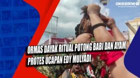 Ormas Dayak Ritual Potong Babi dan Ayam, Protes Ucapan Edy Mulyadi