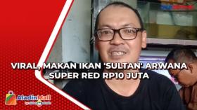 Viral, Makan Ikan 'Sultan' Arwana Super Red Rp10 Juta