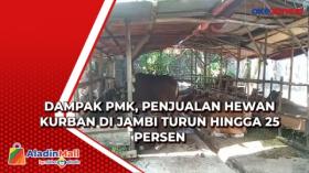 Dampak PMK, Penjualan Hewan Kurban di Jambi Turun hingga 25 Persen