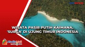 Wisata Pasir Putih Kaimana, 'Surga' di Ujung Timur Indonesia