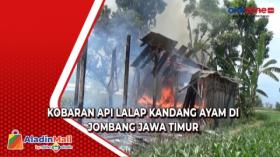 Kobaran Api Lalap Kandang Ayam di Jombang Jawa Timur