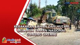 Ingin Dibangun Jalur Pedestrian, Ratusan Bangunan Semipermanen di Cifor Bogor Dibongkar Petugas