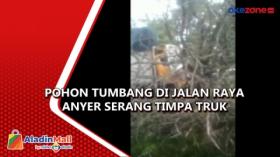 Pohon Tumbang di Jalan Raya Anyer Serang Timpa Truk