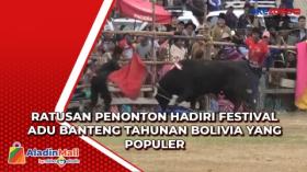 Ratusan Penonton Hadiri Festival Adu Banteng Tahunan Bolivia yang Populer