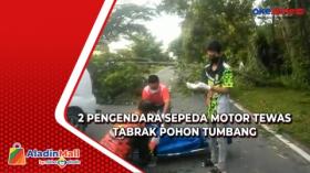 Dua Pengendara Motor di Palangkaraya Tewas akibat Tabrak Pohon Tumbang