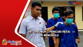 IRT Dibunuh 2 Pencuri Petai di Bengkulu, Ternyata Ini Motifnya