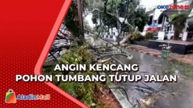 Angin Kencang, Sejumlah Pohon Tumbang Tutup Jalan dan Rusak Jaringan Listrik di Pandeglang