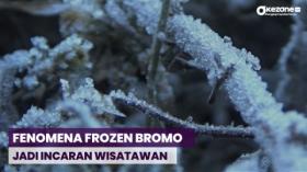 Viralnya Fenomena Frozen Bromo jadi Incaran Wisatawan
