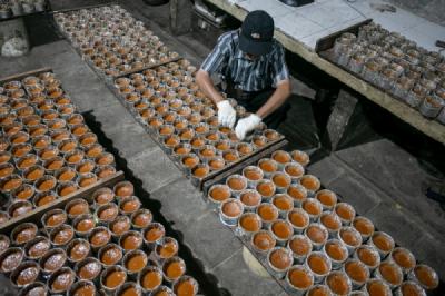  Permintaan Kue Keranjang Menurun Jelang Imlek 2025