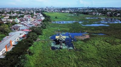 danau-balang-tonjong-terbengkalai-tumbuhan-liar-tutupi-permukaan