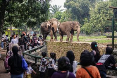 taman-margasatwa-ragunan-tetap-buka-untuk-pengunjung