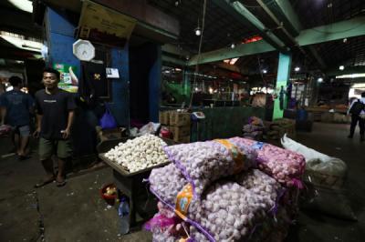 Realisasi Impor Bawang Putih Capai 163 Ribu Ton