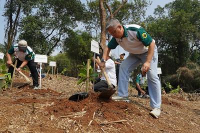 1000-bibit-pohon-kembali-ditanam-di-kampus-ipb