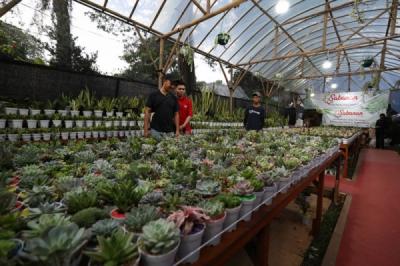 pemprov-dki-gelar-flona-2025-dorong-potensi-flora-dan-fauna-unggulan-daerah