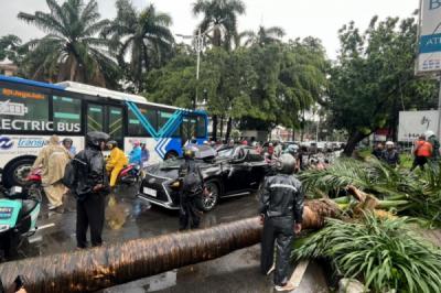 pengendara-mobil-lexus-meninggal-tertimpa-pohon-tumbang-di-pondok-indah