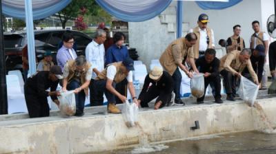 perkuat-ketahanan-pangan-yspn-ltebar-400000-bibit-nila-dan-pembinaan-generasi-z