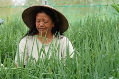 pendampingan-jadi-strategi-pnm-perkuat-usaha-ultra-mikro