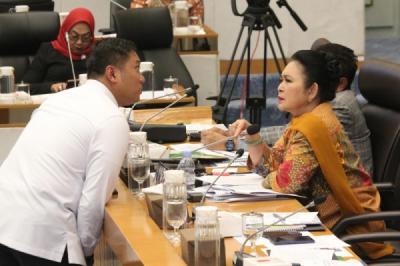 rapat-komisi-iv-dpr-pemerintah-tegaskan-ketahanan-pangan-nasional-terjaga