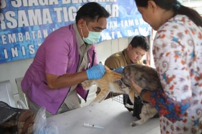 vaksinasi-rabies-gratis-digencarkan-jakarta-targetkan-45-ribu-hewan-pada-2026