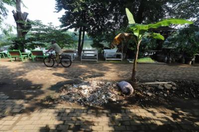 belum-diperbaiki-jalan-berlubang-di-setu-babakan-ditanami-pohon-pisang