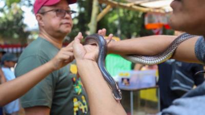 Flona 2026 Hadirkan Ragam Flora dan Fauna di Lapangan Banteng