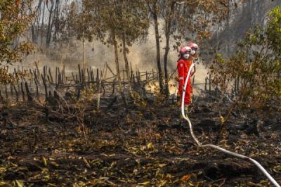 Potret Relawan dan Satgas Padamkan Kebakaran Lahan Gambut
