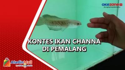 banner-podcast