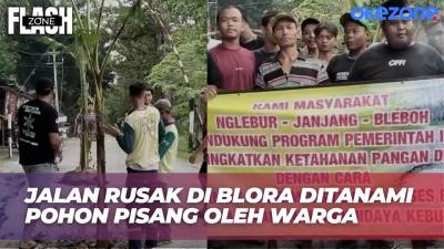 Bentuk Protes Perbaikan Jalan, Warga Blora Tanam Pohon Pisang di Jalan Berlubang