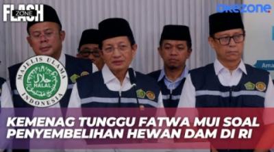 Menag Tunggu Fatwa MUI soal Rencana Penyembelihan Hewan Dam di Indonesia  Flash Zone