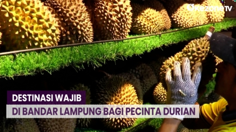 Destinasi Wajib di Bandar Lampung Bagi Pecinta Durian