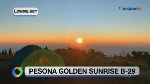 Pesona Golden Sunrise B-29 di Desa Agrosari Lumajang