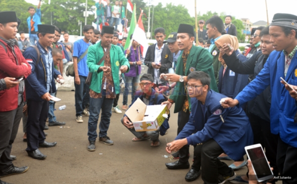 img-3