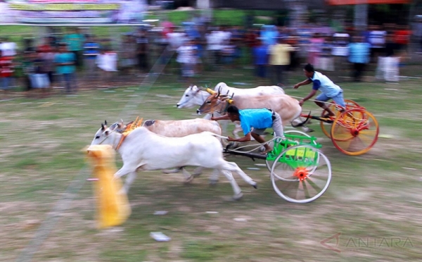 img-1